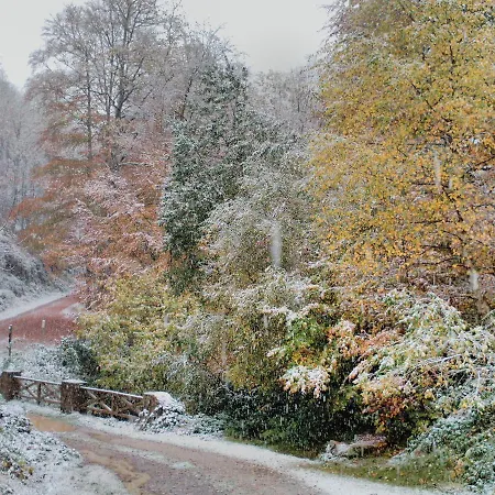 Reserva ברסנה מאיור