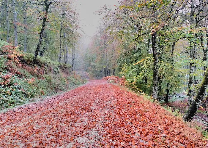 Estalagem Reserva Bárcena Mayor