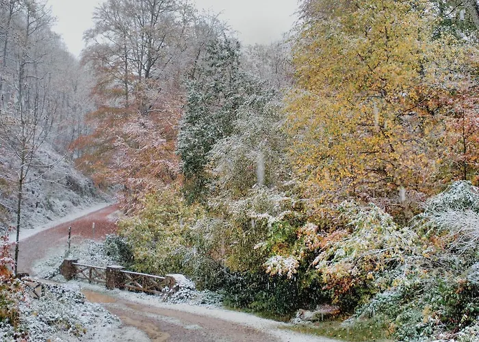 Reserva Bárcena Mayor